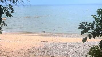 Plage à proximité
