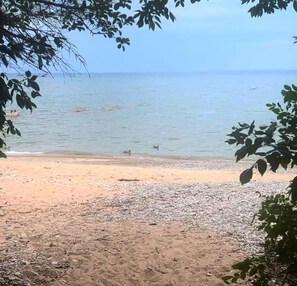 Beach nearby