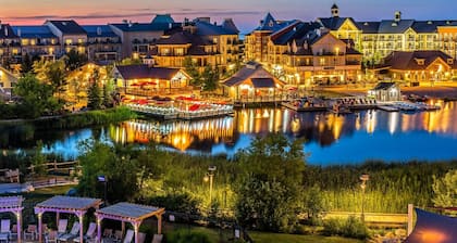 Slope Side Serenity, Ski Blue M.