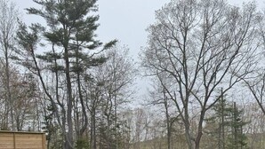Ein runder Sitzbereich im Freien mit vier blauen Stühlen und einem kleinen Tisch, umgeben von einer grünen Rasenfläche mit Bäumen im Hintergrund.