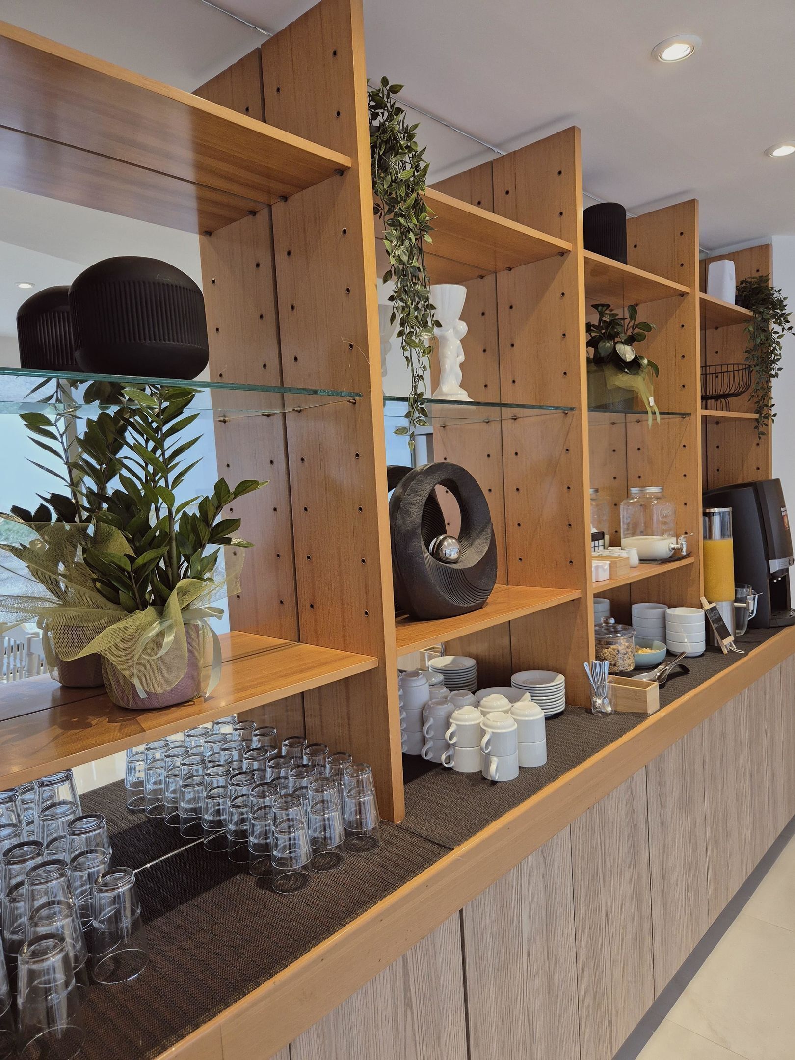 Un espace d'accueil doté d'étagères en bois, de vitrines et de divers objets, notamment des plantes, des tasses et des articles en verre.