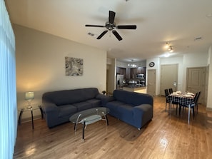 TV - Luxurious Apartment near Texas Medical Center (Houston)