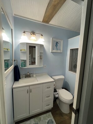 A bathroom with a white vanity, a toilet, and a mirror. - Charming studio with large outdoor patio. Fully fenced and pets are welcome! (St. Petersburg)