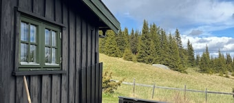 Cozy cabin with a spectacular view! Pet-friendly - 15 minutes to skiing resort!