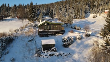 Exteriör