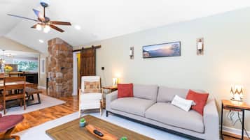Smart TV, fireplace, books, printers