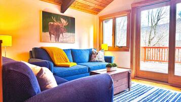 Smart TV, fireplace, books