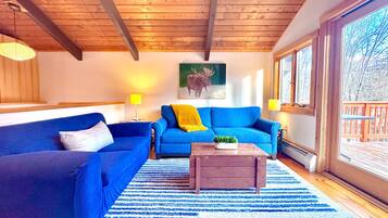 Smart TV, fireplace, books