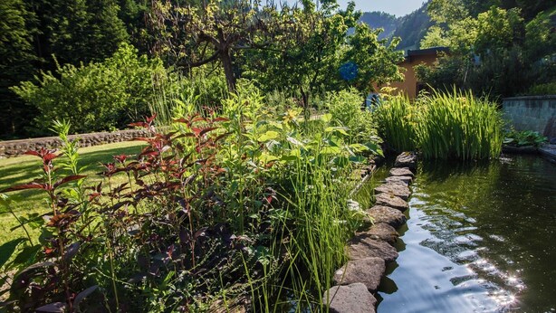A garden with a pond, surrounded by lush greenery and a stone pathway. - Rustic Authentic Holiday Home with Terrace and Wood Stove - Three Bedroom Holiday Home with Terrace (Ljubno ob Savinji)