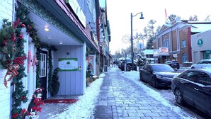 A snow-covered sidewalk with a storefront named "Simply Nature." - Charming apartment on Main Street  (Lake Placid)