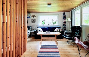 Fernseher, Kamin