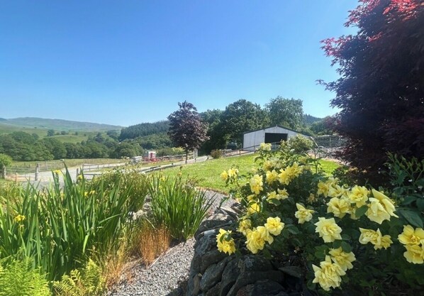 A rural landscape with a stone wall, yellow flowers, and a building in the background.