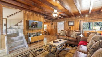 Smart TV, fireplace, books