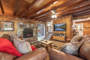 Smart TV, fireplace, books