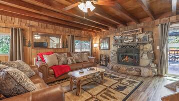 Smart TV, fireplace, books