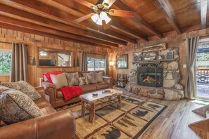 Smart TV, fireplace, books