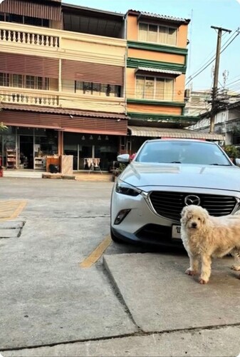 TOOMHOME95 , welcome to nice and cozy place clean and safe not far from to town