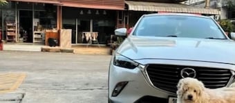 TOOMHOME95 , welcome to nice and cozy place clean and safe not far from to town