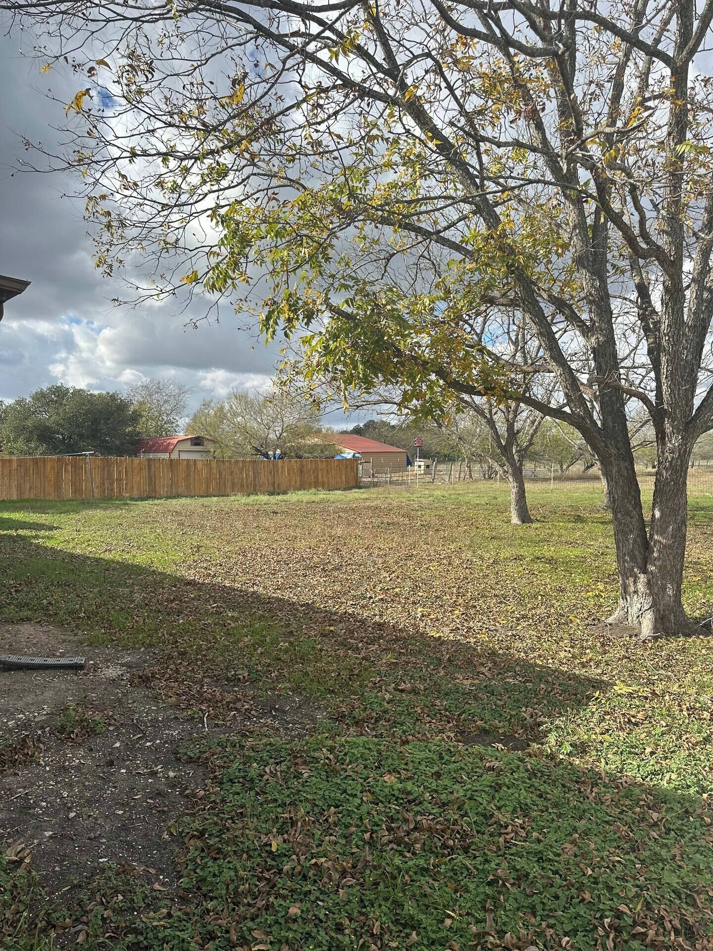 Un jardin avec une clôture en bois, un arbre et une pelouse.