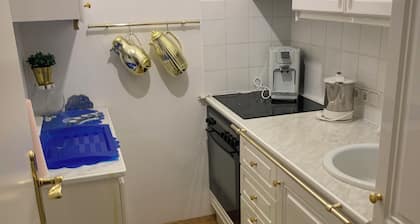 One-room apartment in Jakomini
