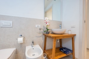 Shower, hair dryer, bidet, towels