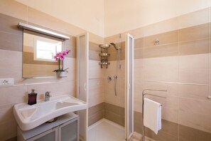 Shower, hair dryer, bidet, towels