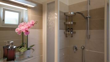 Shower, hair dryer, bidet, towels