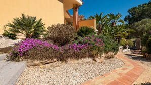 Un edificio con fachada amarilla, un camino de grava y diversas plantas, incluyendo flores moradas y palmeras.
