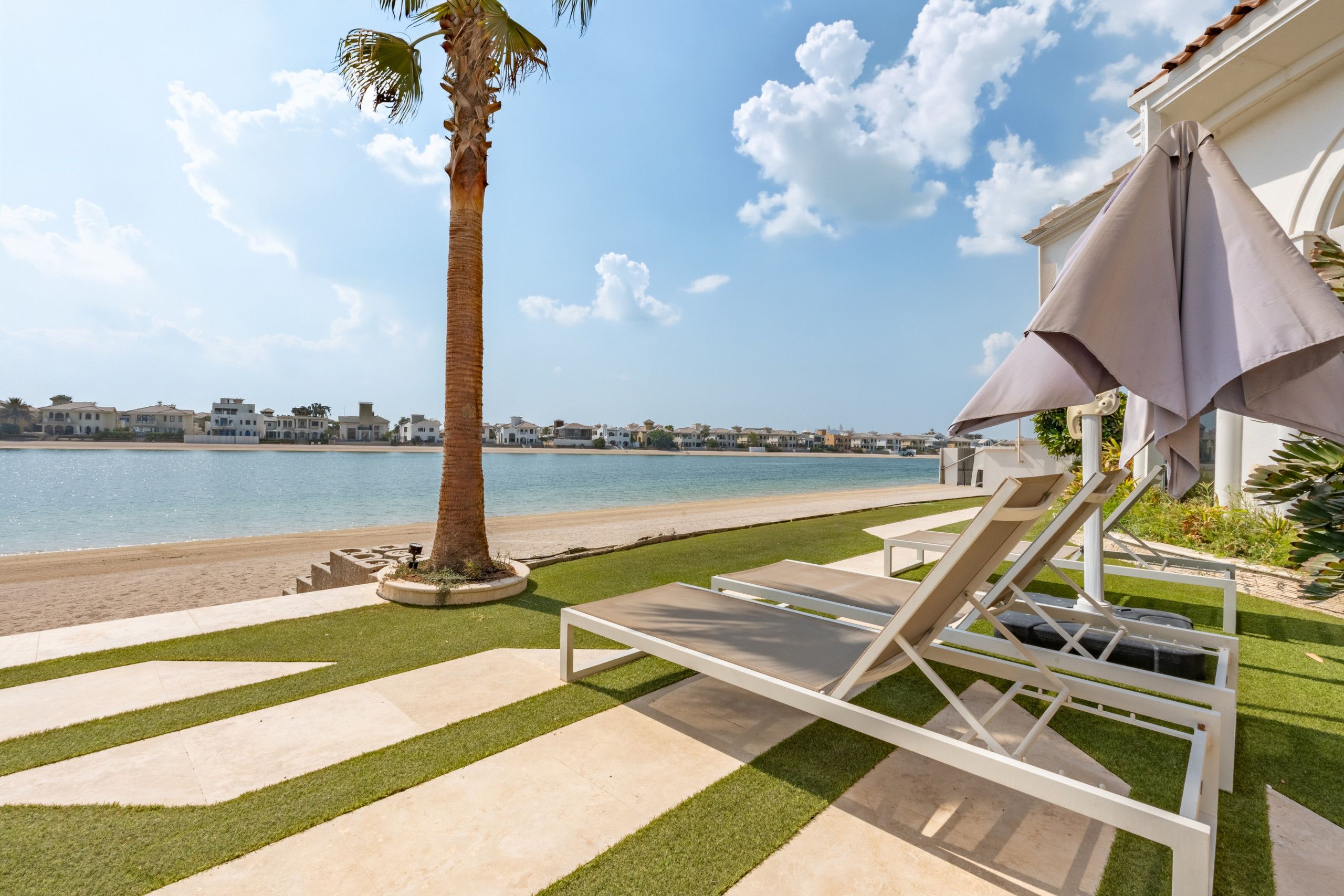 Zona junto a la piscina con sillones de descanso y una palmera.