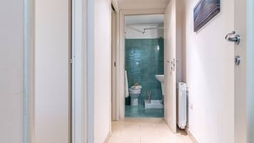 Shower, hair dryer, bidet, towels