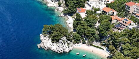 Vlak bij het strand, vissen