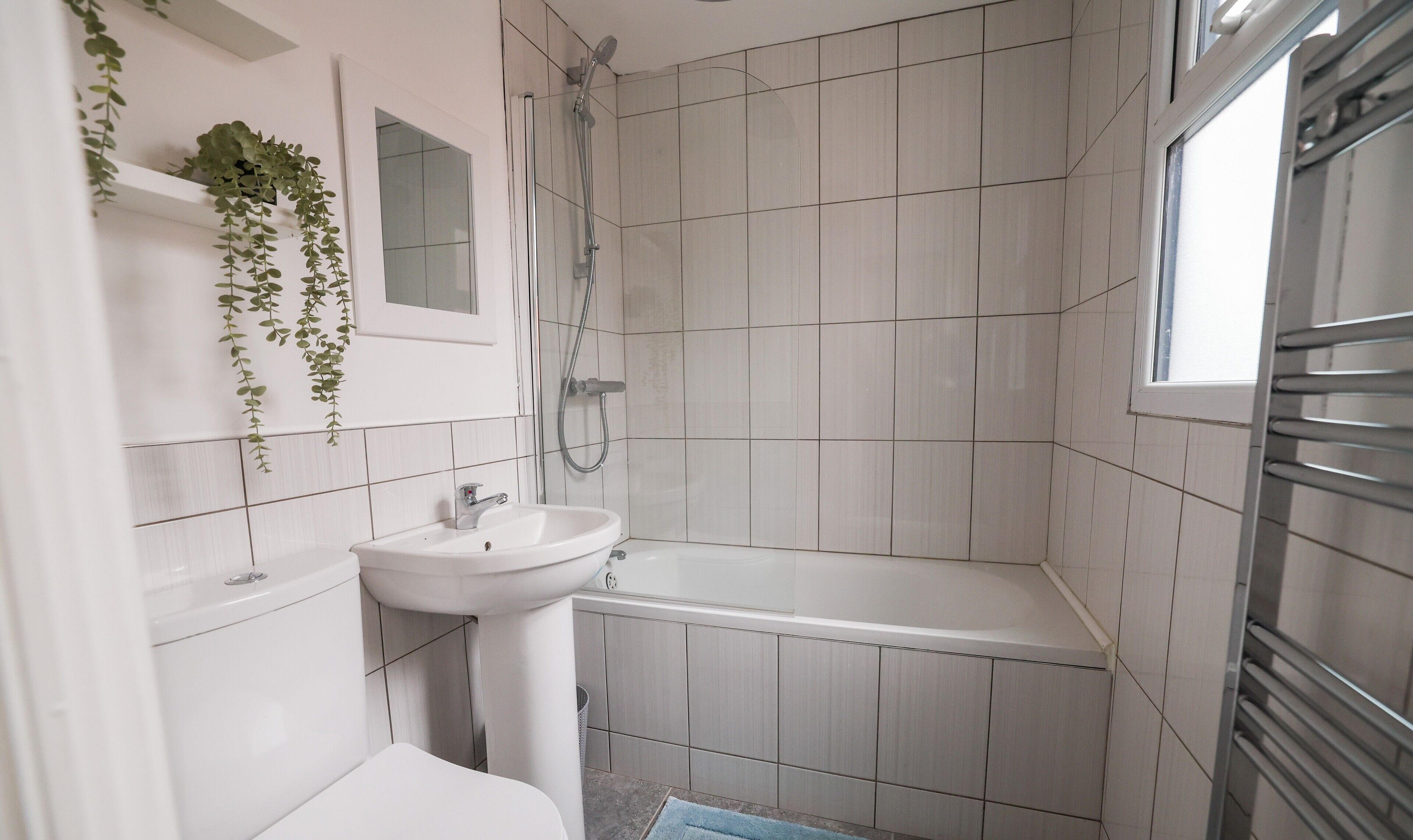 Secadora de cabello, toallas, shampoo, papel de baño 