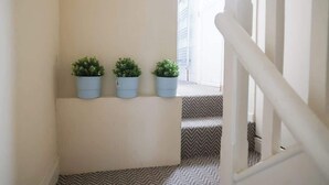 Un escalier recouvert d’une moquette à motifs, avec une rampe blanche et trois plantes en pot disposées sur un mur.