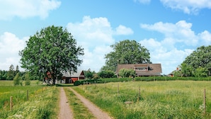 Eine ländliche Landschaft mit einem Schotterweg, der zu einem von Bäumen und Feldern umgebenen Haus führt.