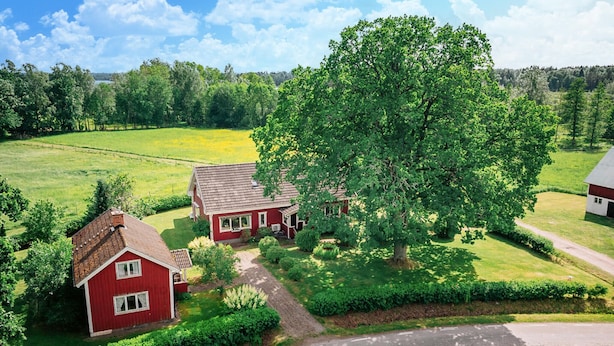 Ein rotes Haus mit geneigtem Dach, umgeben von üppigen grünen Feldern und einem großen Baum.