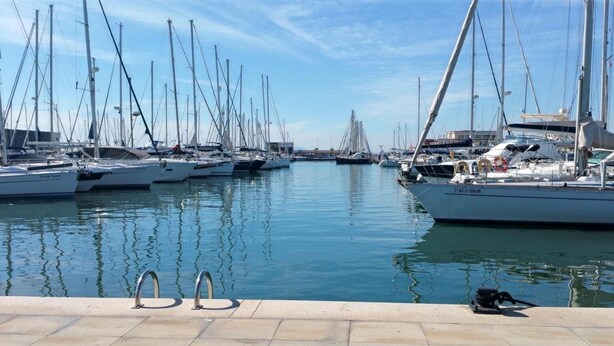 Ein Yachthafen mit mehreren Segelbooten, klarer Himmel und ruhiger Wasserfläche.