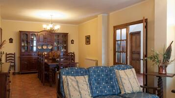 Télévision, cheminée, lecteur de DVD