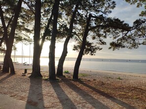 Nära stranden