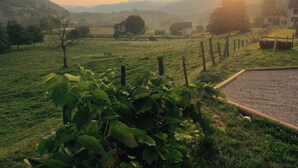 Un paysage rural avec un champ, une clôture et une maison en arrière-plan.