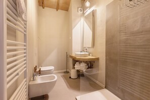 Shower, hair dryer, towels