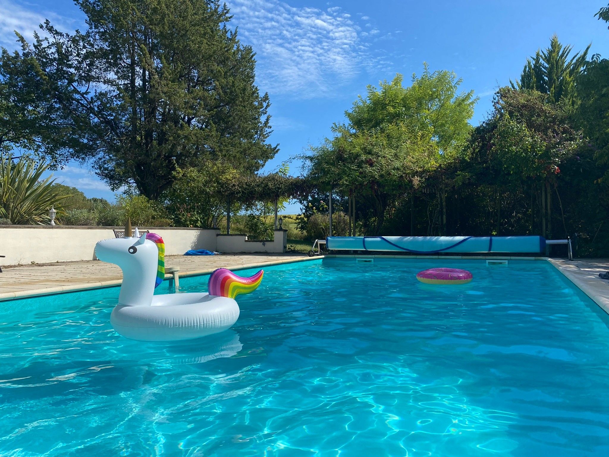 Una piscina con flotadores de unicornio inflables, rodeada de árboles y un cielo despejado.