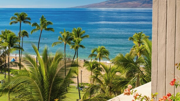 A beach view with palm trees and a clear sky. - Best of Kaanapali Ali'i Suite 382 - Walk Whalers Village - Ocean Views (Lahaina)