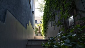 Un estrecho callejón con suelo de concreto, escaleras que llevan a la entrada de un edificio y follaje verde en las paredes.