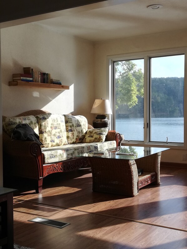 Smart TV, DVD player, books, video library