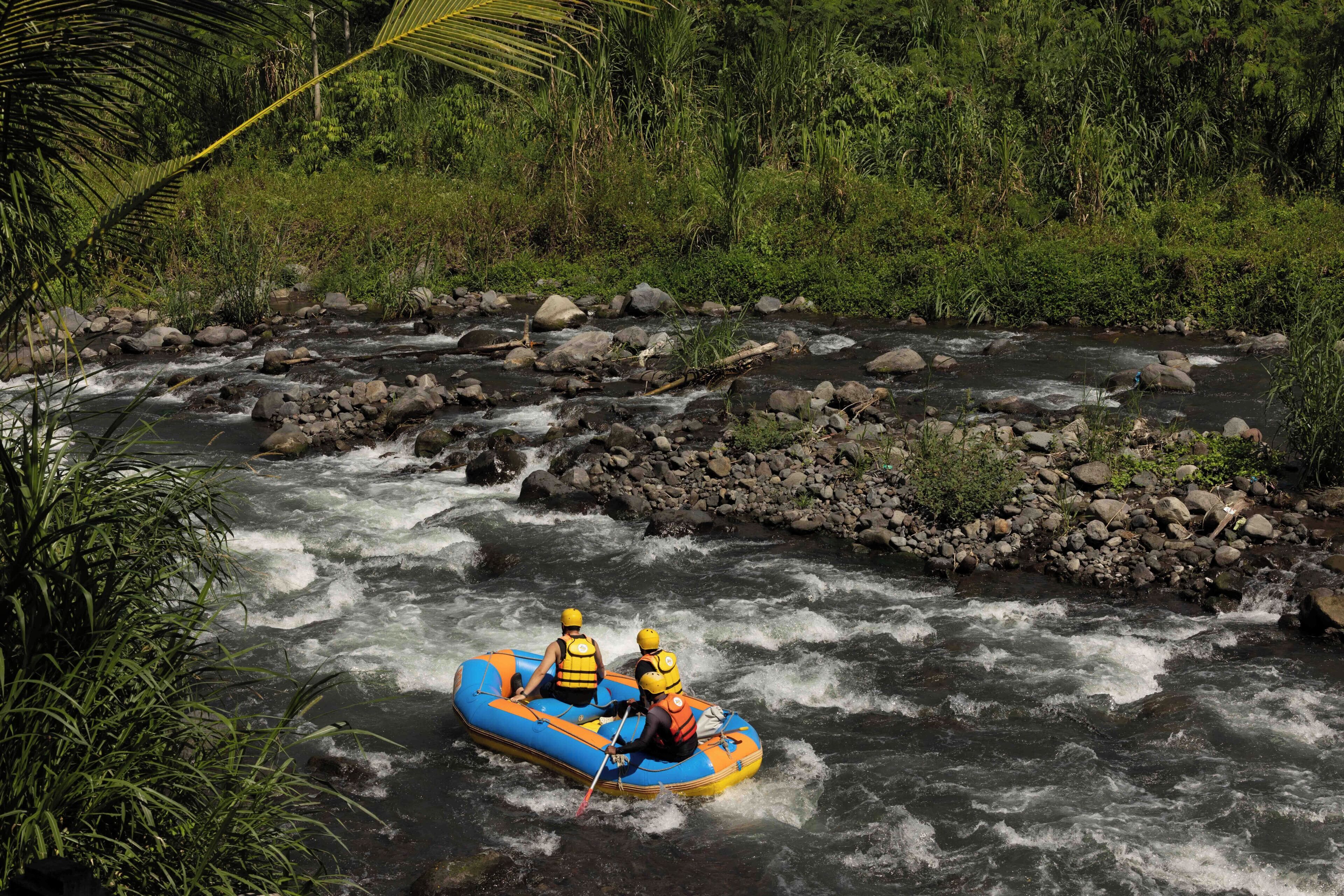 Une rivière bordée de rochers et de végétation.