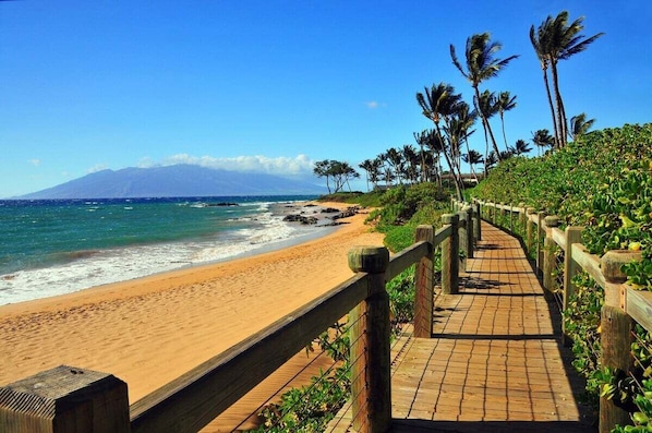 Una pasarela de madera que lleva a una playa arenosa con palmeras y una montaña al fondo.