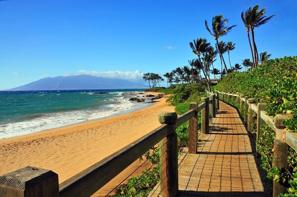 Chaises longues, serviettes de plage