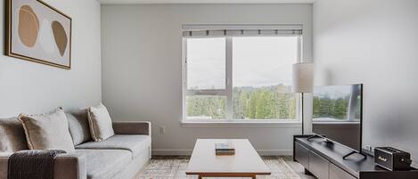 Fernseher, Stereoanlage