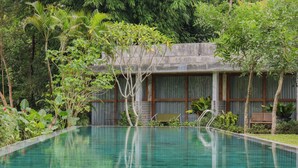 Uma piscina com deck de concreto, rodeada por vegetação exuberante e um edifício com grandes janelas.
