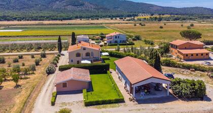 Nice apartment for 5 guests with WIFI, A/C, TV and patio